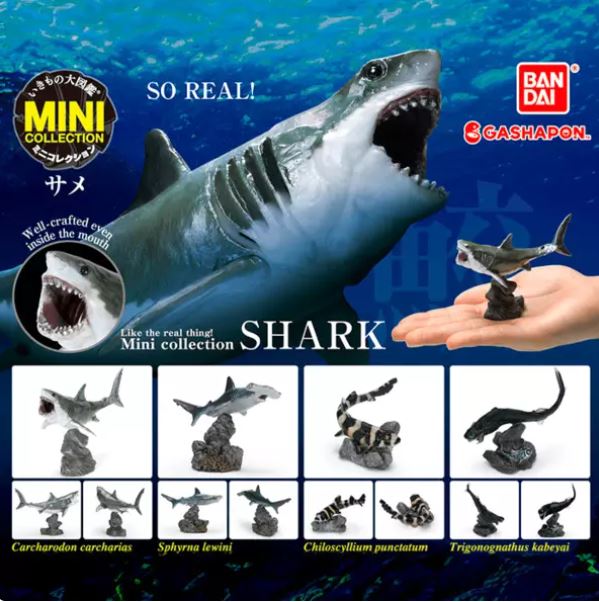 MINI COLLECTION SHARK