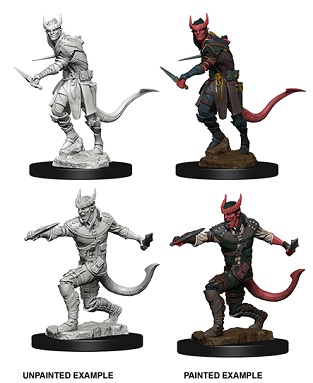 D&D NOLZUR'S: TIEFLING MALE ROGUE