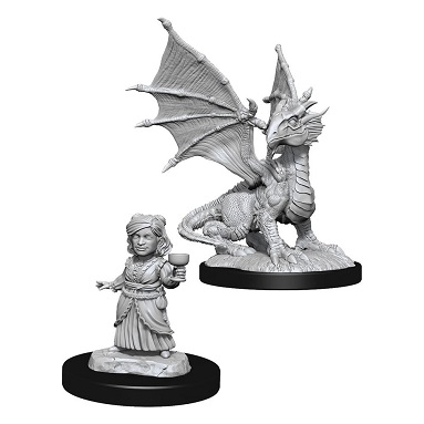 D&D NOLZUR'S: SILVER DRAGON WYRMLING & FEMALE HALFLING