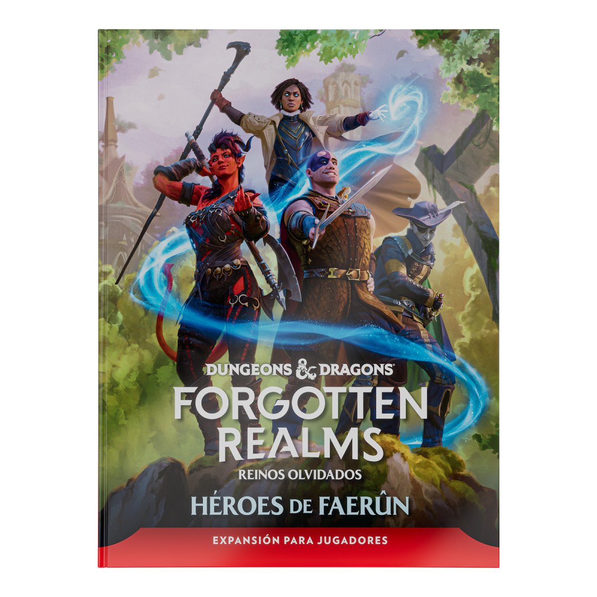 DUNGEONS & DRAGONS  FORGOTTEN REALMS HEROES DE  FAERUN