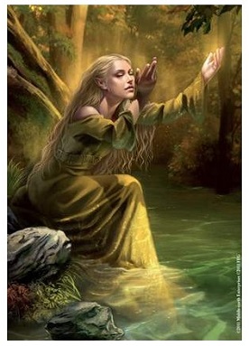 FUNDAS ILUSTRADAS FFG GOLDENWOOD SINGER