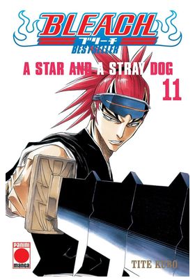 BLEACH BESTSELLER 11