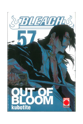 BLEACH 57 (COMIC)