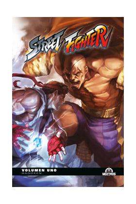 STREET FIGHTER VOL 01