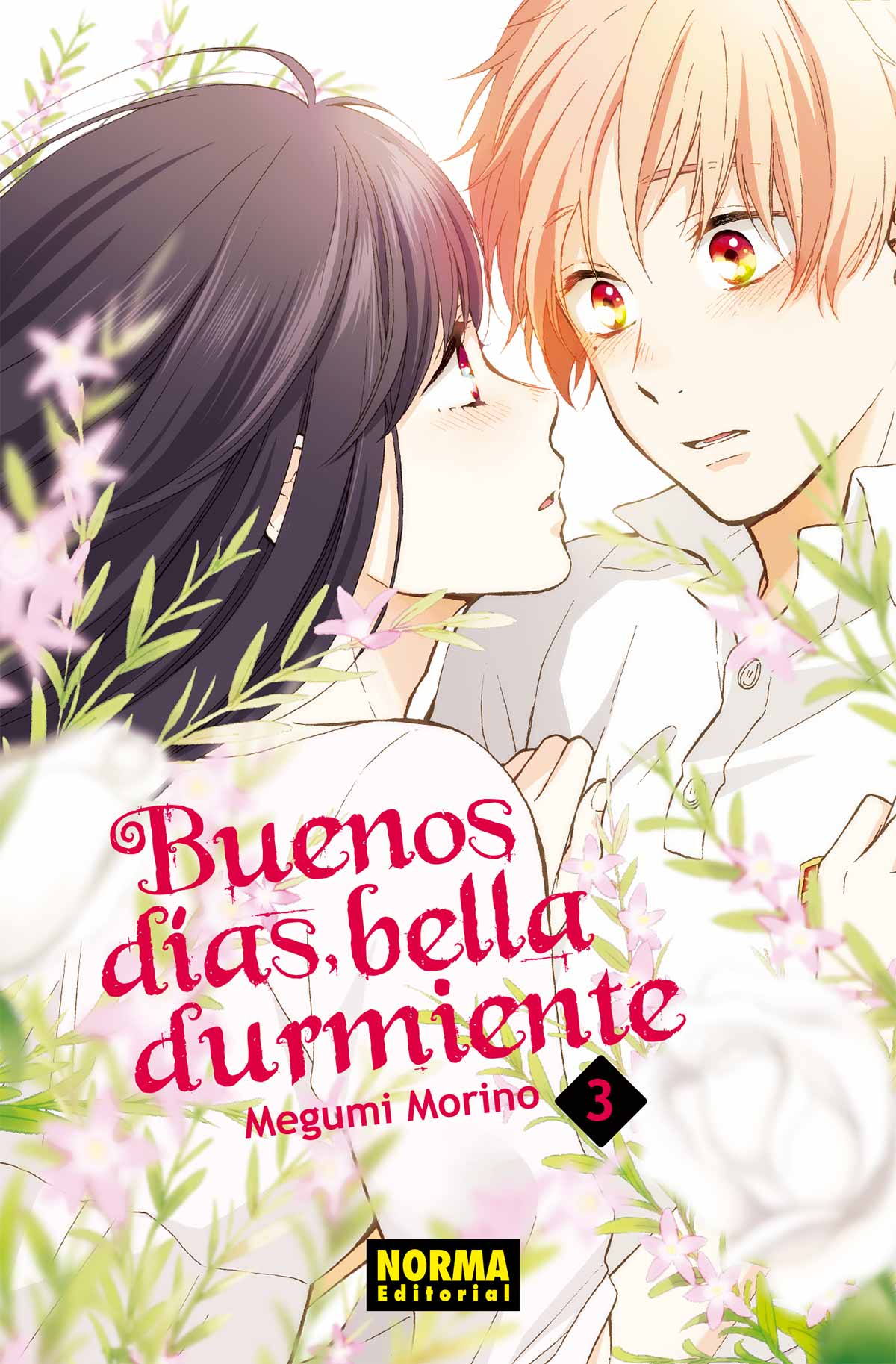 BUENOS DIAS BELLA DURMIENTE 03