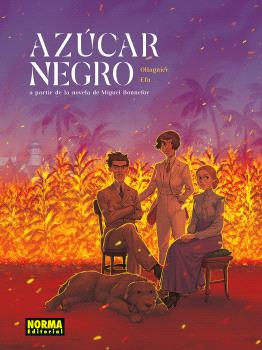 <a href="./azucar-negro-id-010054053">AZUCAR NEGRO</a>