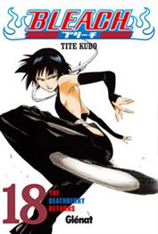 Bleach 18