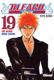BLEACH 19