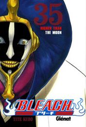 Bleach 35