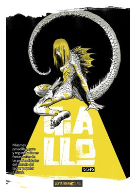 GIALLO N 08